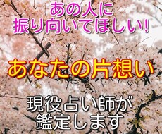 貴女の片想いについての悩みを霊視で詳しく鑑定します 霊視をベースに心理学を取り入れた独自の恋愛鑑定です
