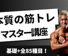 正しい筋トレ88本＋ストレッチ37本を提供します イメージ1