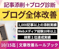 記事添削＋ブログ診断⭐︎まとめて全体改善します 「文章×アフィリエイト×SEO×収益化」記事添削＋ブログ診断