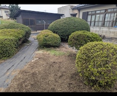 お庭や空き家の代行草刈りをします イメージ1