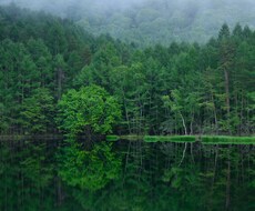 夢分析を行います 夢は深層心理です。無意識の自分からの大切なメッセージです。