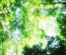 お悩み解決します 幸せになりたい！あなたの「心の声」を聴かせてください。
