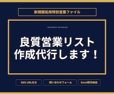 ご希望条件で新規開拓用営業リストを作成します 営業効率を高めるオーダーメイドデータをご提供