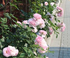 あなたの強みを発掘します 自然体で成果をあげたいあなたへ。