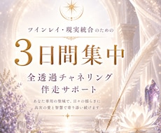3日間✨ツインレイの不安やサイレントに伴走します イメージ1