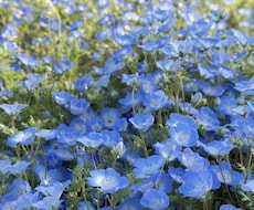 頑張っているあなたへ◎どんな気持ちも受け止めます イメージ1