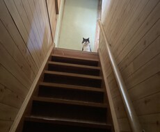 あなたの愚痴や日頃の悩み聞きます イメージ1