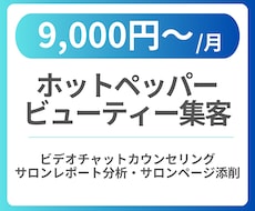 ホットペッパービューティーの分析・アドバイスします ホットペッパービューティー集客のお手伝いいたします
