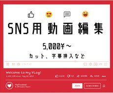 SNS用動画編集をします イメージ1