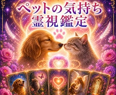 即日鑑定◆ペットの気持ちを霊視で深く視ます イメージ1