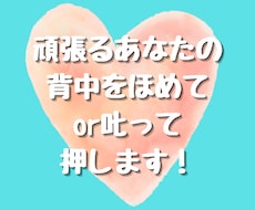 頑張るあなたの背中をほめるorしかって押します 紆余曲折&経験豊富な30代が全力で応援します!!