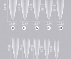 ネイルチップサイズ確認できます イメージ1