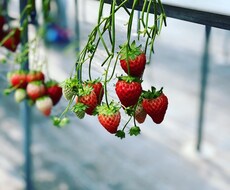 誰かに聞いてほしい、でも中々言えない話聞きます イメージ1