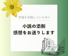 小説を丁寧に読み、感想をお伝えし ます