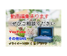 YouTube動画編集その他動画の編集を行います イメージ1