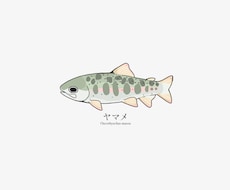 魚のイラストを作成します イメージ1