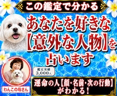 緊急◆霊視◆であなたを好きな人を占います あの人の気持ち、ツインレイとの出会い、見た目や名前がわかる