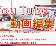 あなたの動画を編集いたします イメージ1