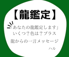 あなたの龍を鑑定します
