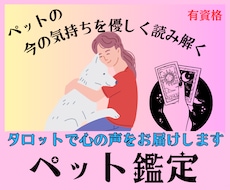 ペットの気持ちをタロットで優しく読み解きます イメージ1
