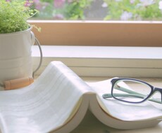 〜1000文字でコンテンツ記事を作成します！テーマご指定ください。