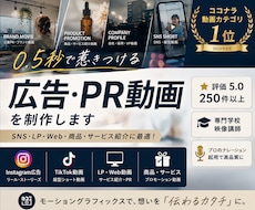広告/PR/商品紹介/売上に繋がる動画を制作します 企画構成からSNS・LP HP用動画まで最後まで丁寧に対応！