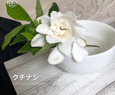 占います イメージ1