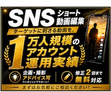 SNSに特化したショート動画を編集します イメージ1