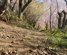 人間関係、恋愛、愚痴など相談に乗ります！！ます イメージ1