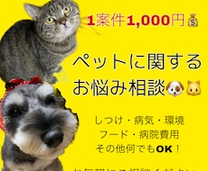 ペットに関するご相談承ります イメージ1