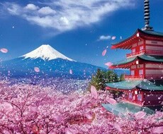 10代に話したい内容や悩みなど聞きます イメージ1