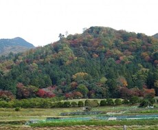 「田舎暮らし」を検討している方へ、後悔しない為の確認事項を女性目線でお教えします。
