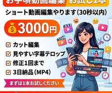 ショート動画（30秒）字幕テロップ編集します イメージ1