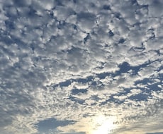 今の気持ちゆっくりお聞きします イメージ1