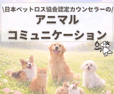 チャットでお答え！ペットちゃんとお話します イメージ1