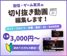 配信者向け配信の切り抜き・文字入れをします イメージ1