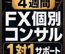 完全限定手法で個別コンサルします イメージ1