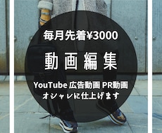 YouTube編集/広告動画/PR動画作成します イメージ1