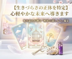 生きづらさの正体を特定し、心軽やかな未来へ導きます