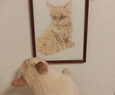 可愛いペット似顔絵描きます 猫ちゃんの思い出の1枚を残しませんか