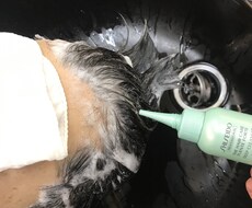 頭皮のニオイをさっぱり治します イメージ1