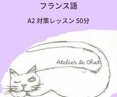 フランス語 50分　A2対策レッスンします 楽しく学んで合格を目指しましょう