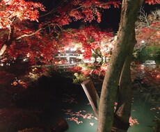 どんな話題でも◎あなたの話し相手になります イメージ1