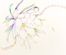 お花のイラストを色鉛筆で描きます イメージ1