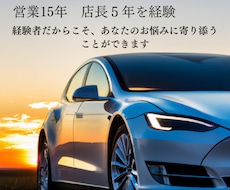 ディーラー営業15年店長5年経験。お話お聞きします イメージ1