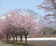 抱え込まないで！子育ての愚痴やご相談にのります イメージ1