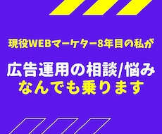 現役プロがWEB広告運用の相談に乗ります 現役WEBマーケター8年目の私が教える！広告運用サポート
