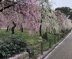 元販売員のケータイ講座！色々お答えしちゃいます イメージ1