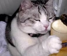 お話しお聞きします イメージ1