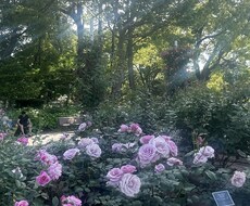 相手依存から脱出！その詳しい方法教えます イメージ1